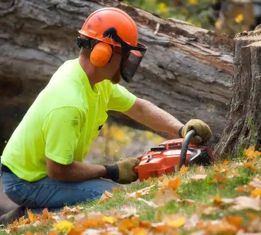 tree services Herman